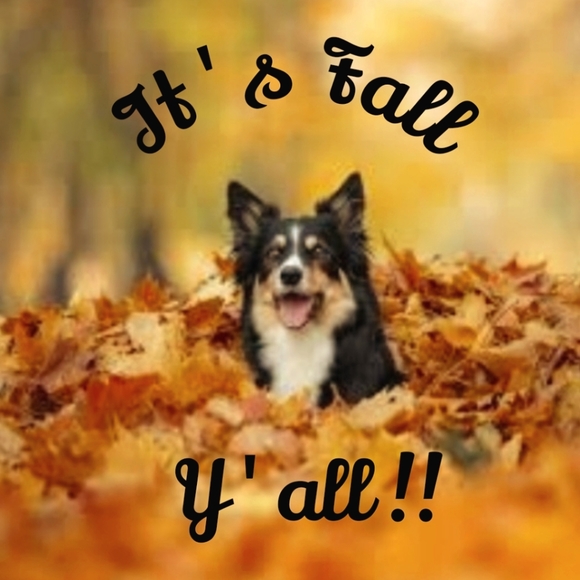 Its Fall, y'all!! Sweater weather is here. Shop now. - Picture 1 of 16